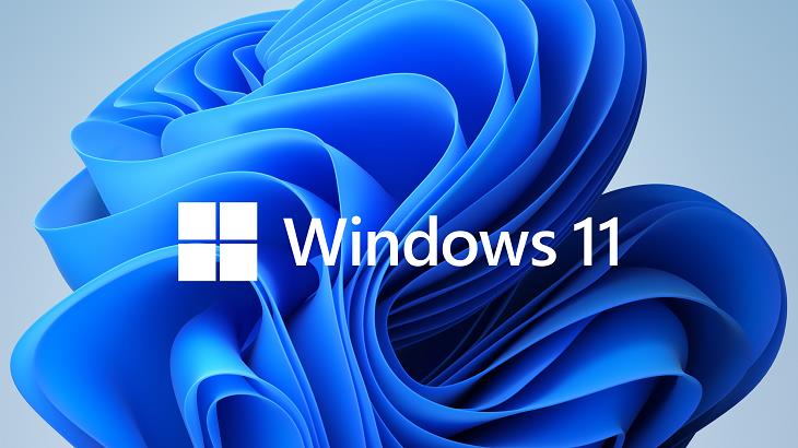1TB HDD/SSD 2.5" SATA Hard Drive Laptop with Windows 11 Pro 64 Installed UEFI